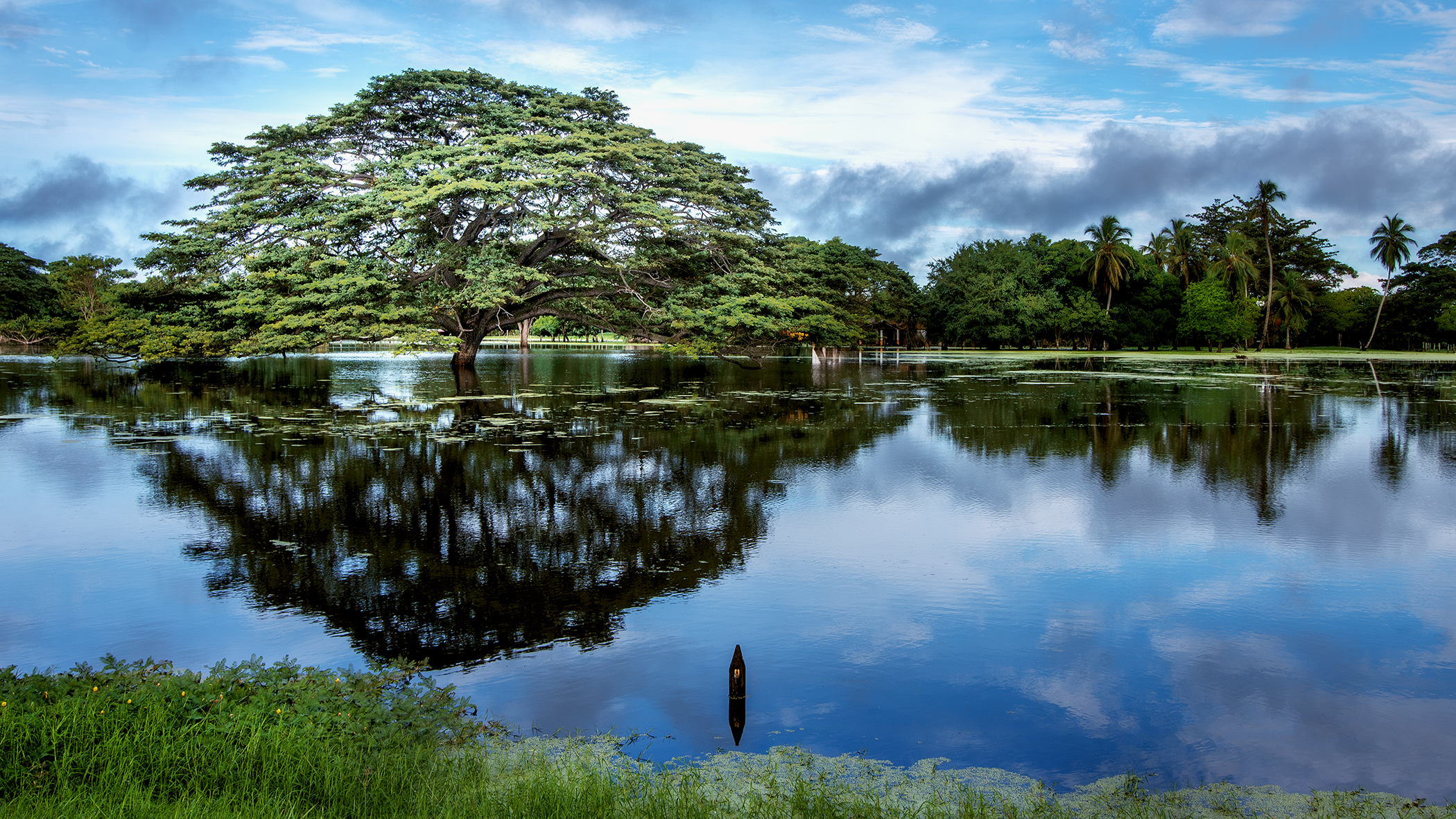 Cambio Climático Sucre Colombia