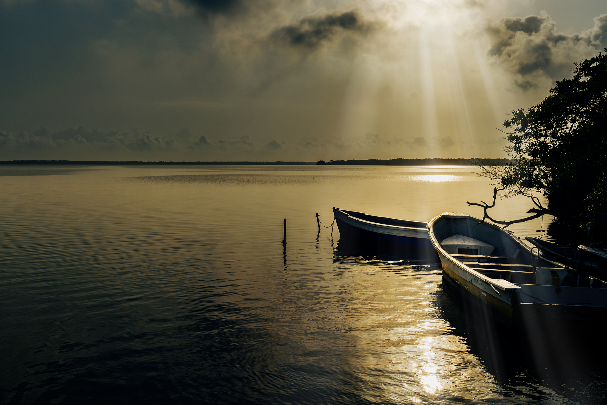 Ciénaga de Mallorquín Barranquilla Colombia