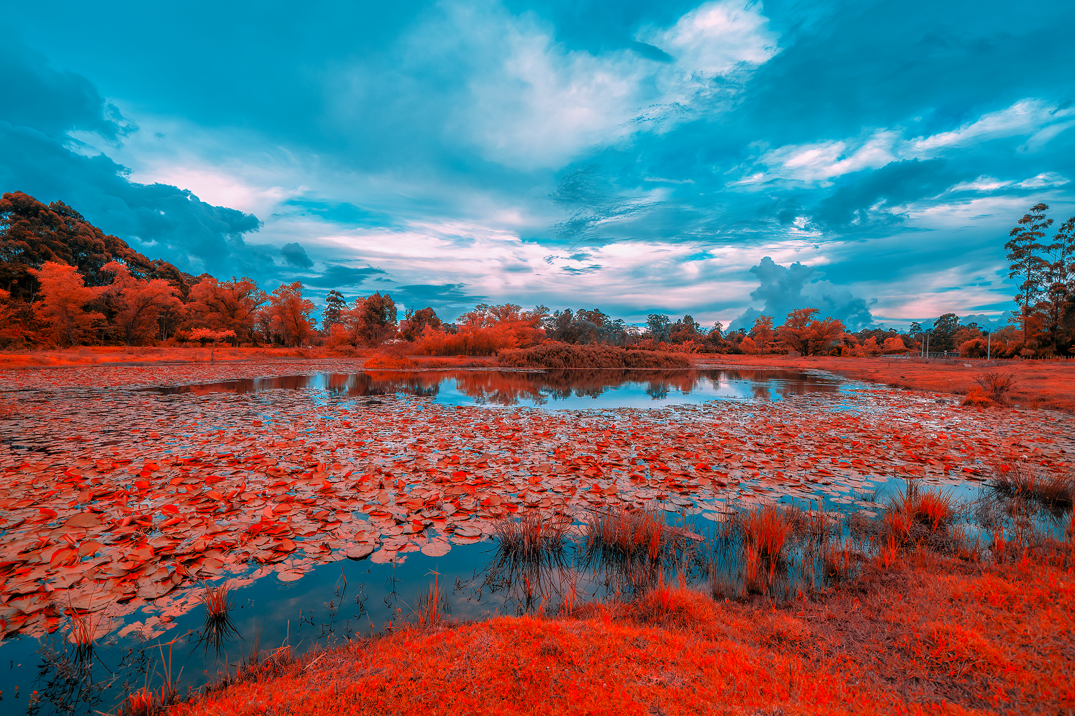 Infrarrojo Humedal La Amalita Rionegro Antioquia