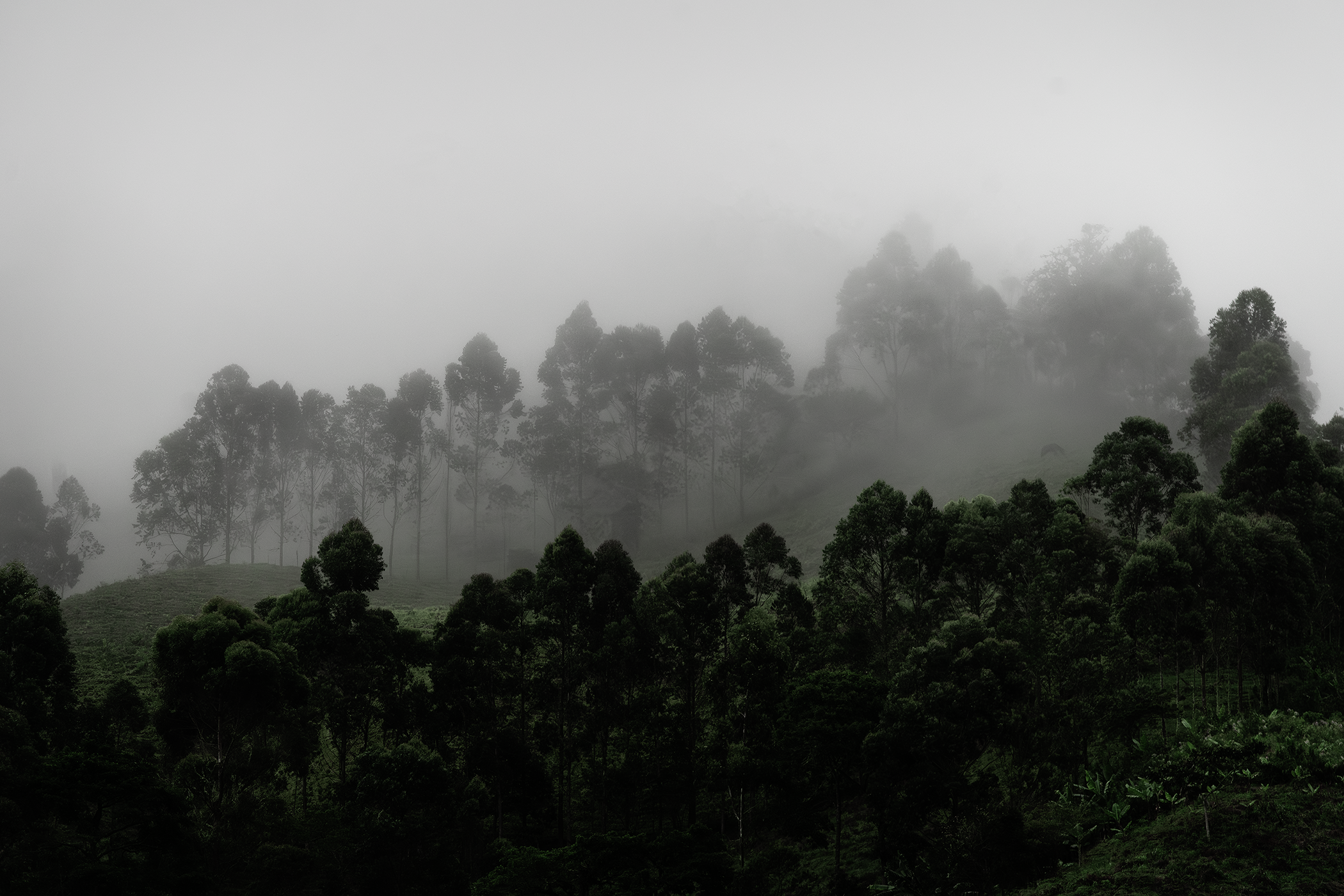 Jericó Antioquia Colombia