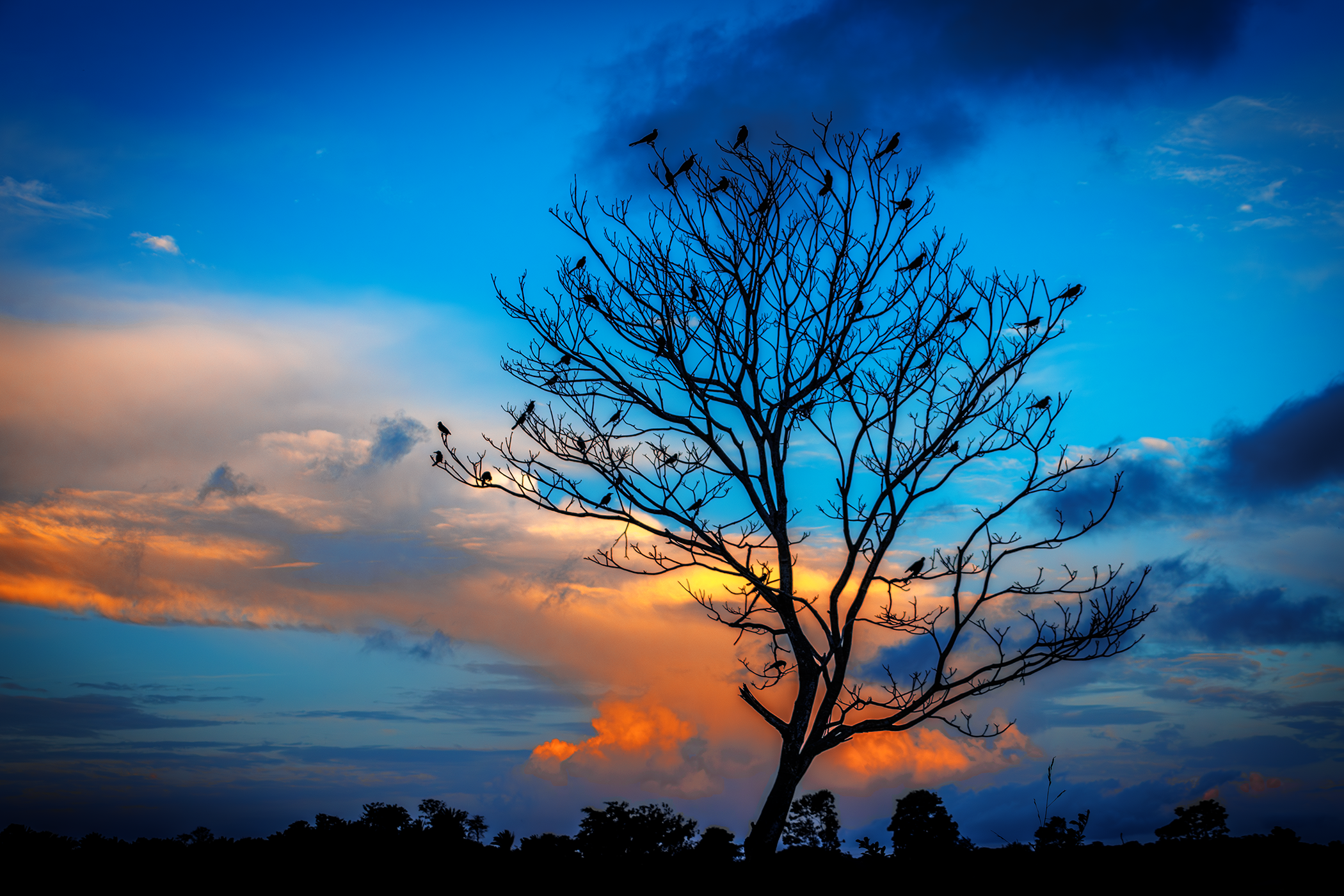 Necoclí Antioquia Colombia